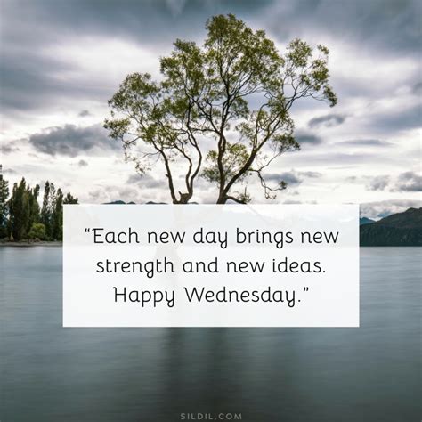 happy wednesday quotes|wednesday motivational quotes for success.